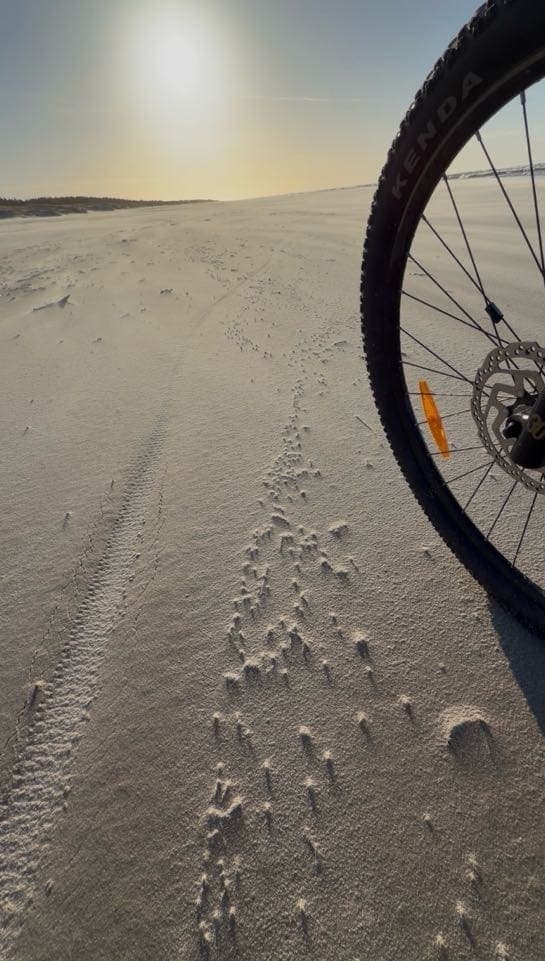 Koło roweru górskiego na plaży o wschodzie słońca — ślady opon i ptaków na mokrym piasku