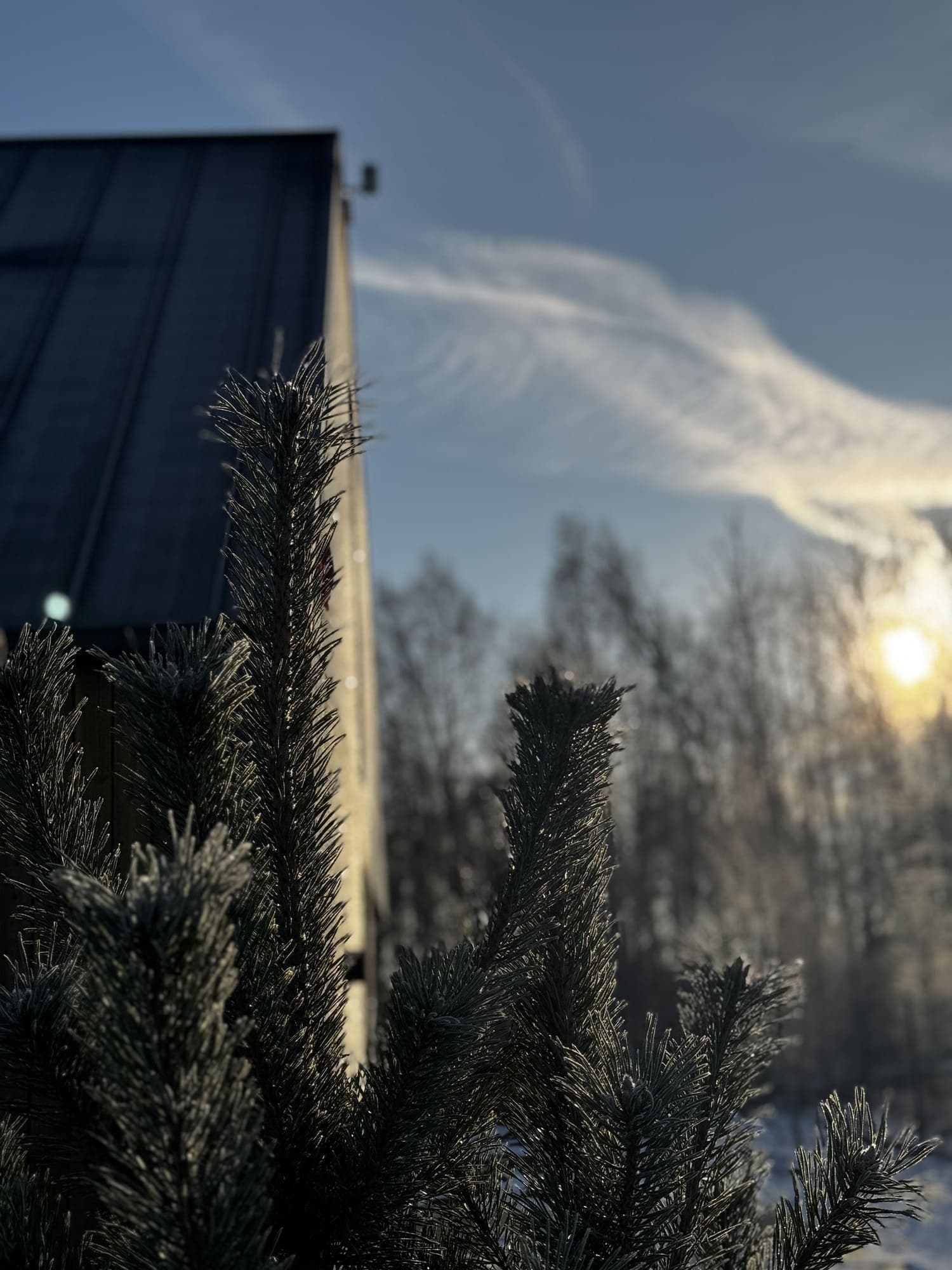 Domek Morze Pauza zimą wśród oszronionych gałęzi sosen o zachodzie słońca